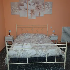 Andrea E Solignano Nuovo